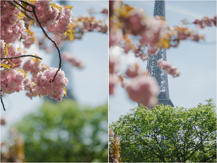 Paris wedding photographer